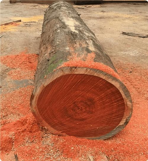 硬木课堂怎么样 硬木课堂怎么样