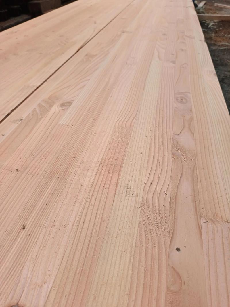 落叶松和樟子松有什么区别 落叶松和樟子松有什么区别