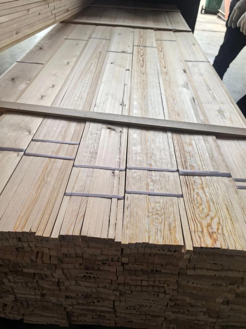 落叶松和樟子松有什么区别